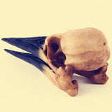 Maxbell Retro Yellow Oystercatcher Resin Skull Head Model Home Bar Decor 17x6x7cm