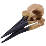 Maxbell Retro Yellow Oystercatcher Resin Skull Head Model Home Bar Decor 17x6x7cm