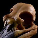 Maxbell Retro Yellow Oystercatcher Resin Skull Head Model Home Bar Decor 17x6x7cm