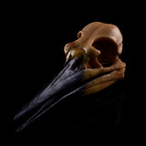 Maxbell Retro Yellow Oystercatcher Resin Skull Head Model Home Bar Decor 17x6x7cm