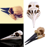 Maxbell Retro Yellow Oystercatcher Resin Skull Head Model Home Bar Decor 17x6x7cm