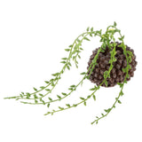 Maxbell Artificial Foliage Succulent Senecio Radicans Plant Weddin Party Vivid Decor