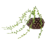 Maxbell Artificial Foliage Succulent Senecio Radicans Plant Weddin Party Vivid Decor