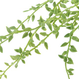 Maxbell Artificial Foliage Succulent Senecio Radicans Plant Weddin Party Vivid Decor