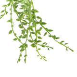 Maxbell Artificial Foliage Succulent Senecio Radicans Plant Weddin Party Vivid Decor