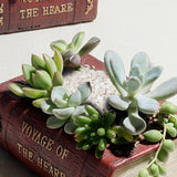 Maxbell Garden Planter Vintage Book Flower Cactus Succulent Plant Pot Box Container