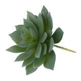 Miniature Lifelike Artificial Succulents Plants Flower Echeveria Lotus Floral Decor Photo Props