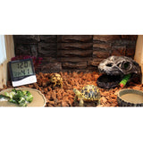 Maxbell Reptile,Snake,Turtle,Vivarium Rock,Caves,Decor Aquarium Ornament LizardSkull