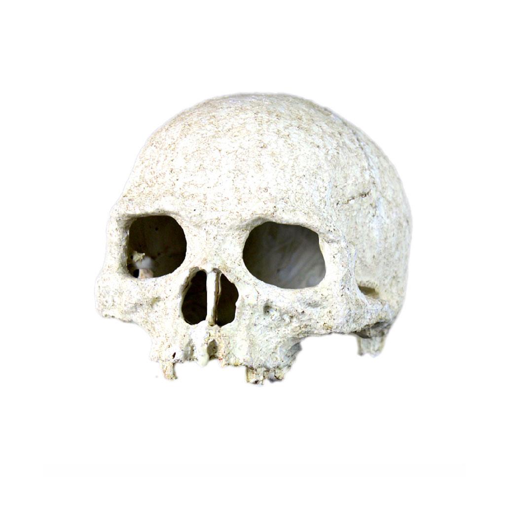Maxbell Reptile,Snake,Turtle,Vivarium Rock,Caves,Decor Aquarium Ornament Human Skull