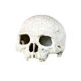 Maxbell Reptile,Snake,Turtle,Vivarium Rock,Caves,Decor Aquarium Ornament Human Skull