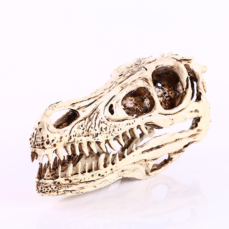 Maxbell Resin Raptor Dinosaur Skull Model Pub Bar Decor Collectibles White