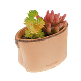 Maxbell Umbrella Coin Purse Resin Flower Pot Succulent Cacti Plant Container Planter