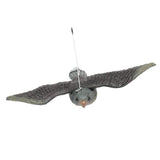Maxbell Lifelike Flying Bird Hawk Pigeon Decoy Plant Pest Control Garden Scarer Scarecrow