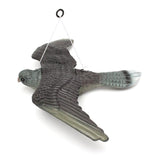 Maxbell Lifelike Flying Bird Hawk Pigeon Decoy Plant Pest Control Garden Scarer Scarecrow