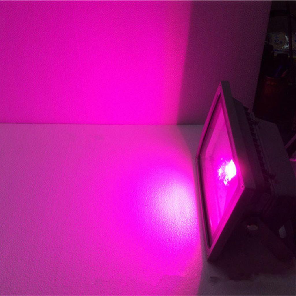 Maxbell 10W Flood light Waterproof Outdoor Security Spotlight Commercial Light Purple