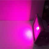 Maxbell 10W Flood light Waterproof Outdoor Security Spotlight Commercial Light Purple