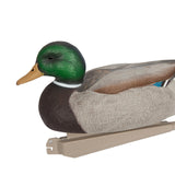 Maxbell Fishing Hunting Decoy Plastic Duck Decoy Drake with Weighted Floating Keel