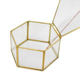 Maxbell  Irregular Glass Geometric Succulent Planter Vase Box Terrarium Container#4