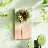 Artifical Flowers Wall Hanging Wooden Plaque Chic Art Poster Board Decor 06