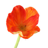 Max 10 Pieces PU Lifelike Artificial Poppy Flower Branches for Home Decor Orange