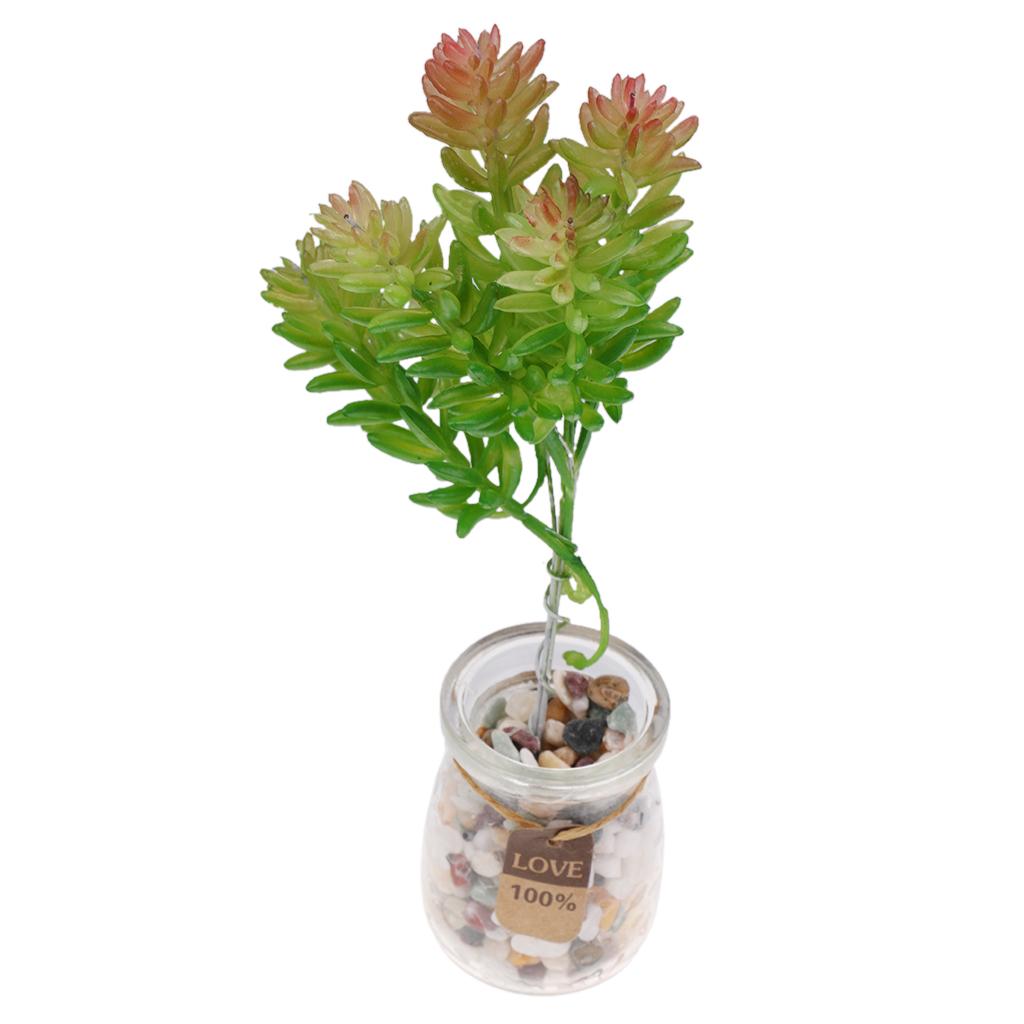 Simulation Succulent Plant For Home Office Garden Decor DIY 5pcs #6 12cm