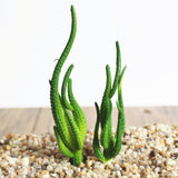 Simulation Succulent Plant For Home Garden Decor DIY 2Pcs #8 14cm and 11cm