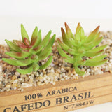 Simulation Succulent Plant For Home Garden Decor DIY 1Pc #2 6.5x5cm