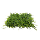 Max Artificial Plant Background Wall Plant Fake Plants For Wedding Party Shop B