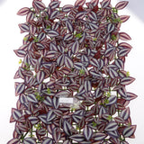 Max Artificial Plant Background Wall Plant Fake Plants For Wedding Party Shop C