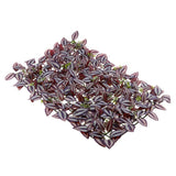 Max Artificial Plant Background Wall Plant Fake Plants For Wedding Party Shop C