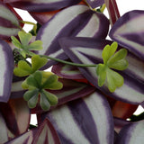 Max Artificial Plant Background Wall Plant Fake Plants For Wedding Party Shop C