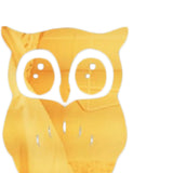 Max Maxb 3D Mirror Style OWL Removable Decal Wall Sticker DIY Decorative Mural -Gold