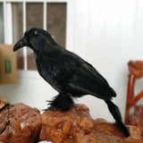 Max Artificial Feathered Small Crows Birds Ravens Props Halloween Decor #1 Black