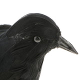 Max Artificial Feathered Small Crows Birds Ravens Props Halloween Decor #1 Black