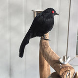Max Artificial Feathered Small Crows Birds Ravens Props Halloween Decor #2 Black