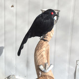 Max Artificial Feathered Small Crows Birds Ravens Props Halloween Decor #2 Black