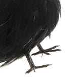 Max Artificial Feathered Small Crows Birds Ravens Props Halloween Decor #2 Black