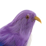 Max Maxb Lifelike Perched Woodland Birds Artificial Feathered bird Crafts Colorful #5