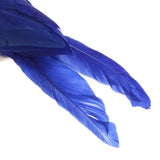 Max Maxb Lifelike Perched Woodland Birds Artificial Feathered bird Crafts Colorful #5