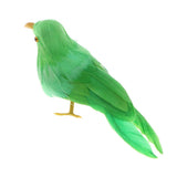 Max Maxb Lifelike Perched Woodland Birds Artificial Feathered bird Crafts Colorful #6