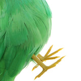 Max Maxb Lifelike Perched Woodland Birds Artificial Feathered bird Crafts Colorful #6