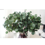 Single Branch Artificial Eucalyptus Leaves Silk Simulation Leaves Home Decor