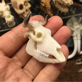Max Maxb Resin Buffalo Skull Aquarium Ornament Fish Tank Reptile Terrarium Decoration