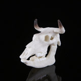 Max Maxb Resin Buffalo Skull Aquarium Ornament Fish Tank Reptile Terrarium Decoration
