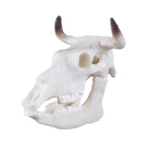 Max Maxb Resin Buffalo Skull Aquarium Ornament Fish Tank Reptile Terrarium Decoration