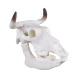 Max Maxb Resin Buffalo Skull Aquarium Ornament Fish Tank Reptile Terrarium Decoration