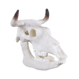 Max Maxb Resin Buffalo Skull Aquarium Ornament Fish Tank Reptile Terrarium Decoration