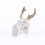 Max Maxb Resin Dragon Skull Aquarium Ornament Fish Tank Reptile Terrarium Aquascaping