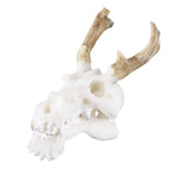 Max Maxb Resin Dragon Skull Aquarium Ornament Fish Tank Reptile Terrarium Aquascaping