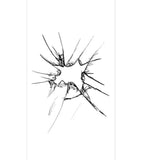 Max Privacy Frosted Window Film PVC Non Adhesive Window Clings Decor Split
